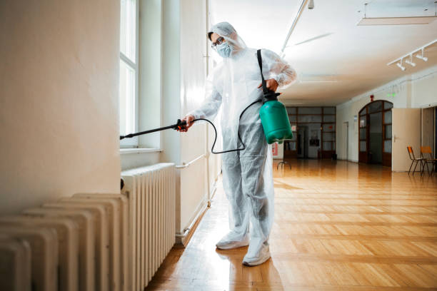 Professional Pest Control in Rancho Palos Verdes, CA